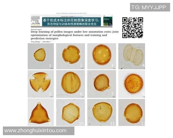 北京羽毛球队包夹战术深度解析与训练策略探讨